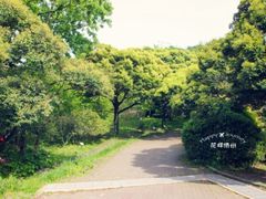 -汉拿树木园
