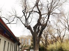 -菖蒲河公园