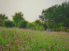 -钟山体育运动公园