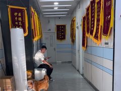 -中农国际动物医院24小时·猫科·骨科·急重症中心