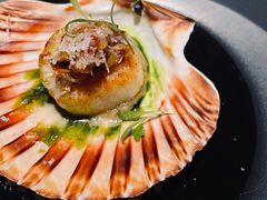 香煎新西兰带子-Oyster Talks 四度蚝法餐厅