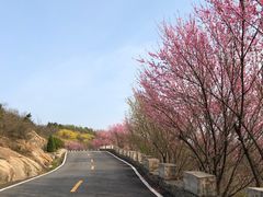 -方城县七峰山生态旅游区