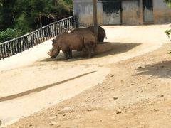 -泉州海丝野生动物世界