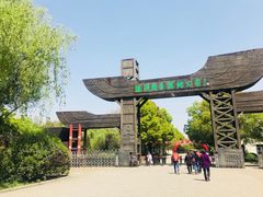 -溱湖国家湿地公园