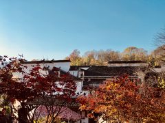 -塔川景区