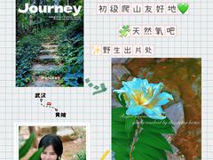 -素山寺森林公园