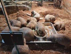 -Zoolung Zoolung动物主题公园(海信广场店)