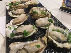 清蒸海蛎子-渔娘渔家丹东海鲜(东直门店)