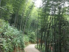 -千泷沟大瀑布旅游区
