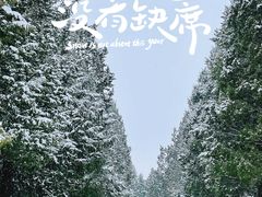 -天坛公园