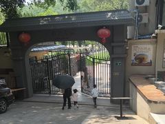 -火炉山森林公园