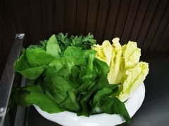 -野菌王•养生汤锅•野生菌火锅(大理漾濞路店)