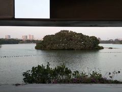 -海珠湖公园