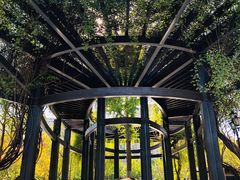 -荷风细雨·中国茶宴(碧云店)