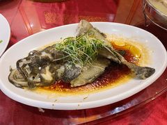 珍珠龙趸鱼-君海悦酒楼