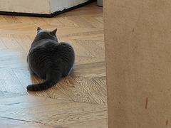 -Me Coffee下午茶艺术空间