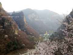 -藏山旅游风景区