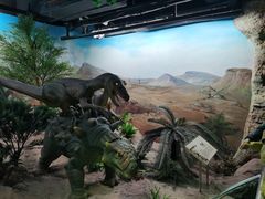 -国家自然博物馆