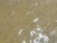 -碧海金沙