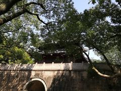 -峙山公园