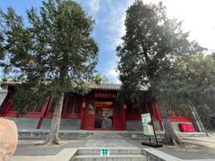 -大觉寺-停车场