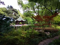 -申粤轩酒楼·三十年粤菜经典(丁香花园店)