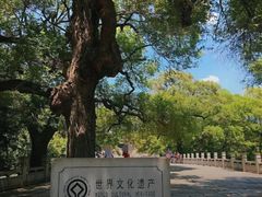 -北陵公园