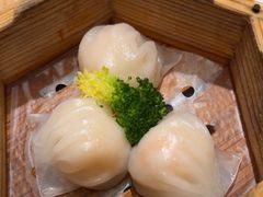 -祥记餐饮•豫粤珍味(郑东新区新长安店)