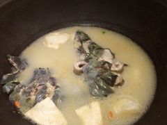 iphone_upload_pic-咕嘟草帽鱼·牛奶一样的鲜鱼汤(包河万达广场创始店)
