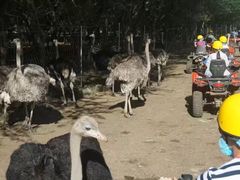 -卡塞拉自然公园