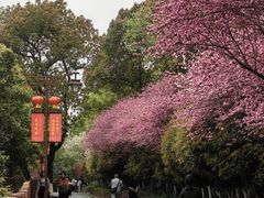 -杭州半山国家森林公园