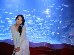 -太平洋海底世界