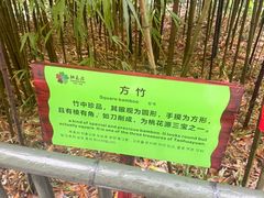 -常德桃花源景区