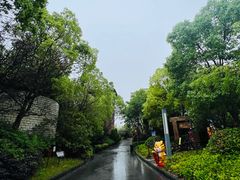 -上海崇明金茂凯悦酒店