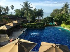 -椰树岛海滩度假村