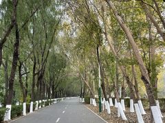 -长白岛森林公园