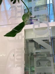 -Meng Lang 梦郎白金店