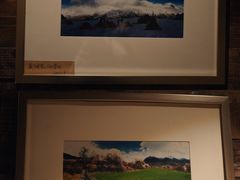 -看见远方·莫干遥远的山民宿