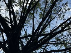 -荔香公园