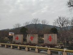 -香雪海