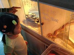 -嘉兴海底世界