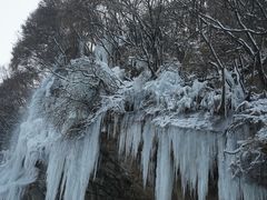-少华山国家森林公园