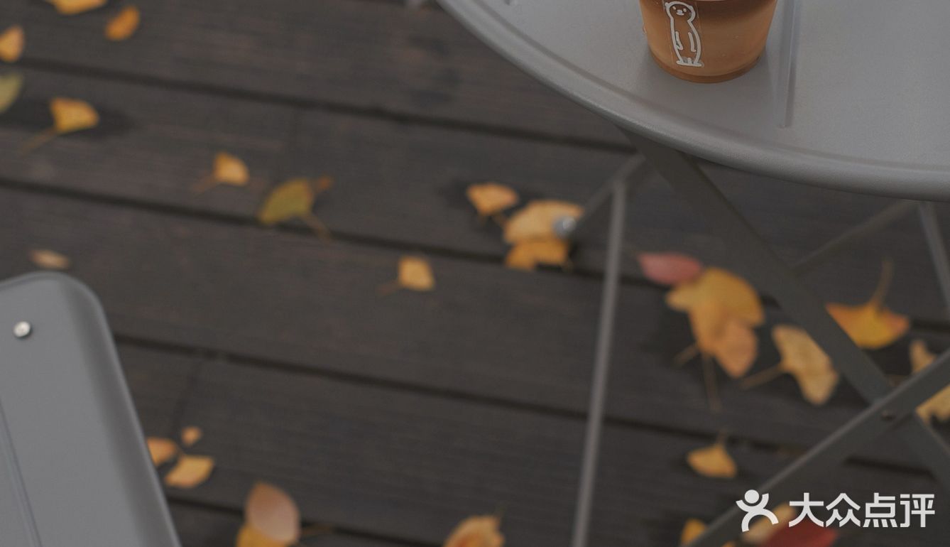 魔都秋天最火的银杏咖啡店