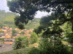 -杨家堂村