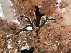 -汤里来温泉