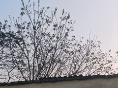 -红旗山庄(圭峰山店)