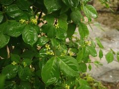 -长椿街(地铁站)