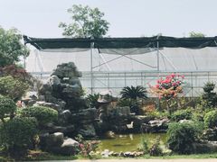 -呼吸森林·生态农庄农家乐私房菜