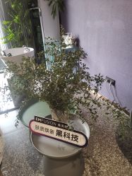 -花隐·美芙炫海菲秀皮肤管理中心