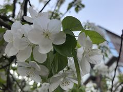 -OCT华侨城·北京